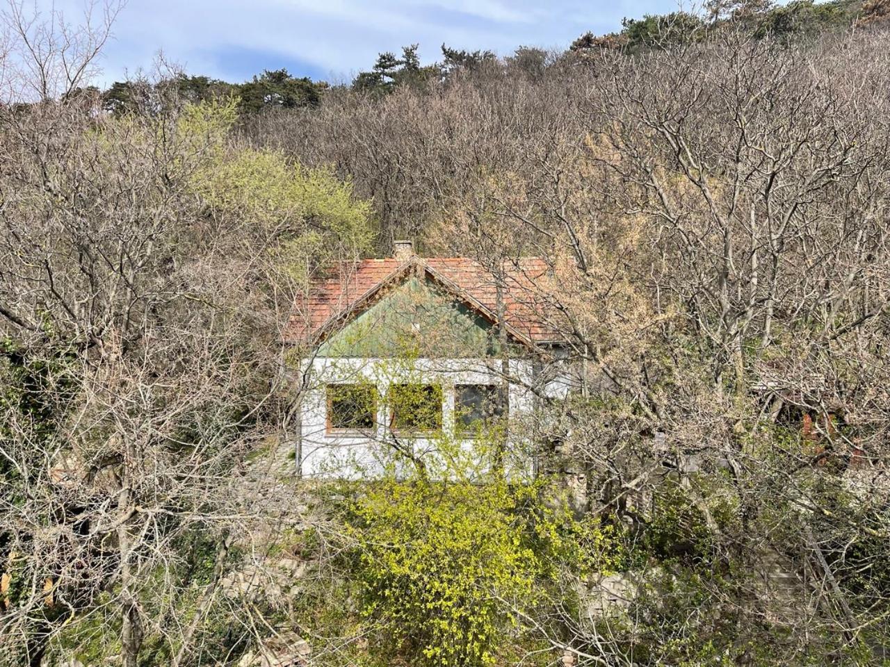 Rustic Cottage & Garden Retreat On Buda Hilltop Budapest Exterior foto